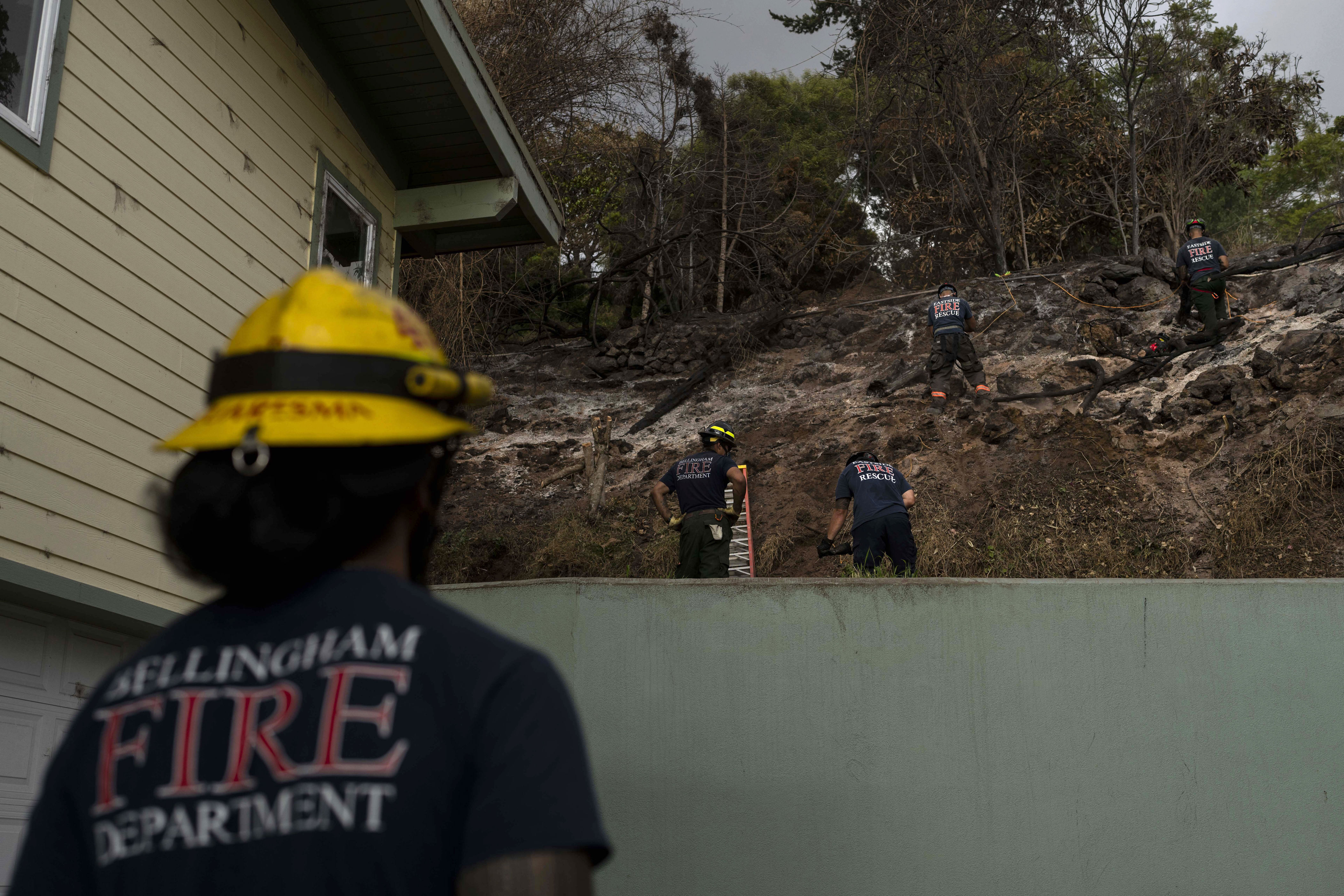 maui fire department to release after-action report on deadly hawaii wildfires