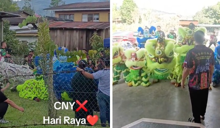[watch] celebrating unity in diversity: green and blue lion dance lights up hari raya aidilfitri