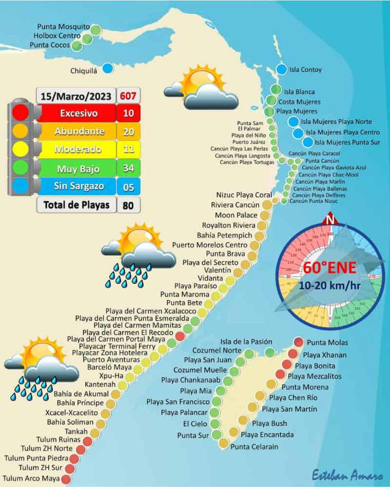 How to AVOID Cancun Seaweed & Sargassum in 2024
