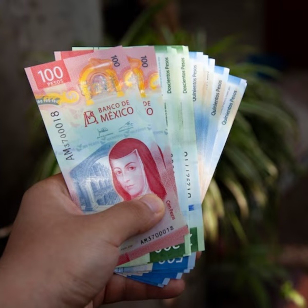 pensión imss: ¿quiénes son los jubilados que recibirán 10 mil pesos extra en mayo 2024?