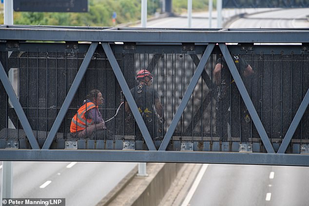 jso protester facing jail for m25 protest says she'd do it again