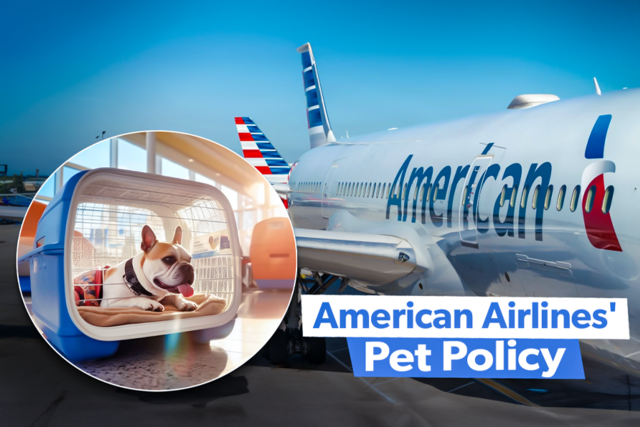American Airlines' Pet Policy: A Brief Guide