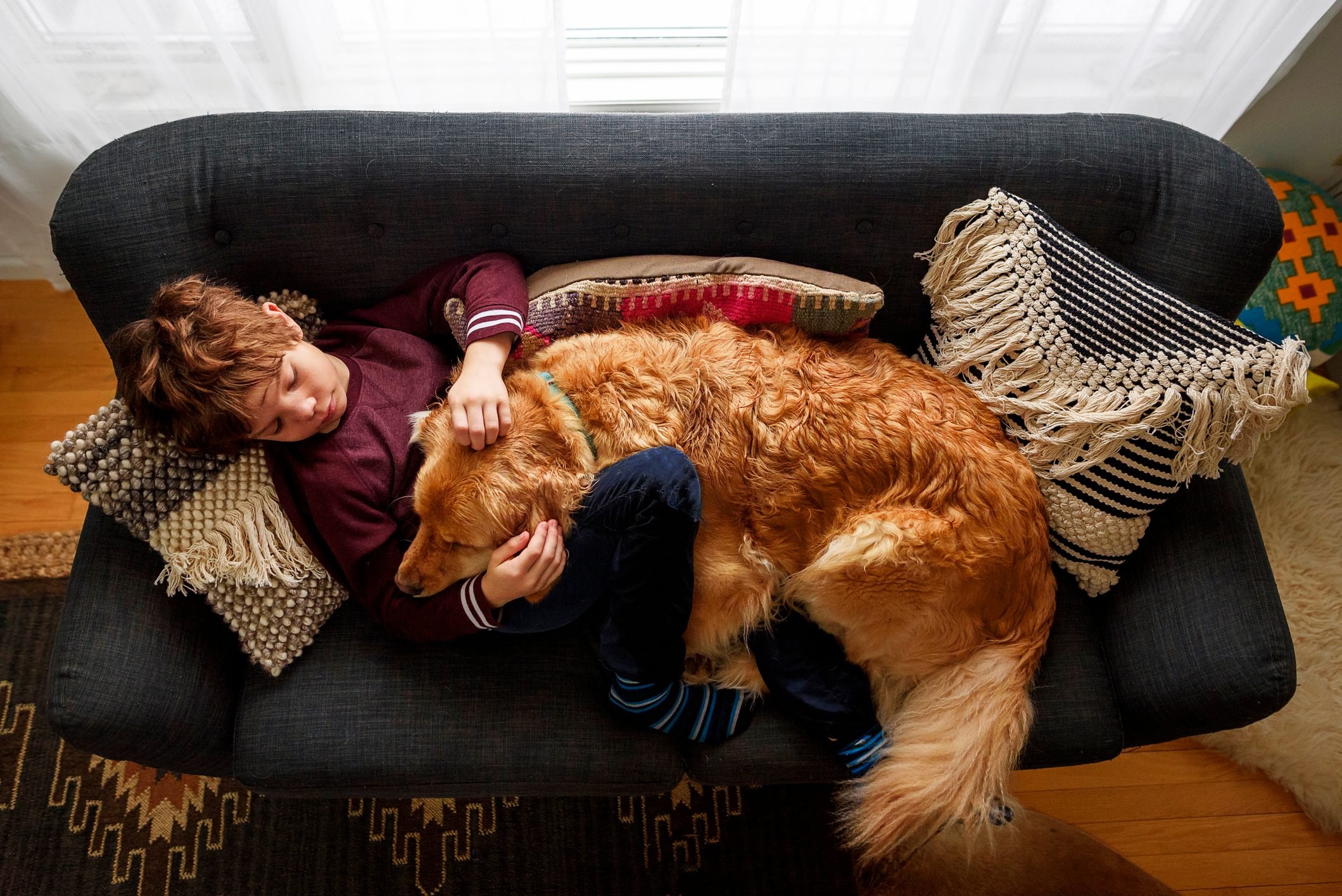 <p>Who doesn't love a relaxing <a href="https://www.rd.com/article/cuddling-with-dog/" rel="noopener noreferrer">cuddle session</a> with their dog? Happy dogs seek physical contact with their owners, like snuggling up to you on the couch or nudging your hand for a pat on the head. Our dog would love to lean his entire body against us when he felt happy and wanted to be close.</p> <p>Every dog is different though, so keep in mind that not every happy dog will want to cuddle or otherwise be close to their owners. Even for the happy dogs that love physical contact, they're not necessarily looking for hours of closeness; just a few minutes may be enough to satisfy their want to be close to you.</p> <p>A dog that's feeling happy but wants to be alone isn't a cause for concern. However, if your dog prefers to be alone and is showing signs of unhappiness or depression, such as changes in eating and sleeping behavior, consider taking your dog to the vet for further evaluation.</p>