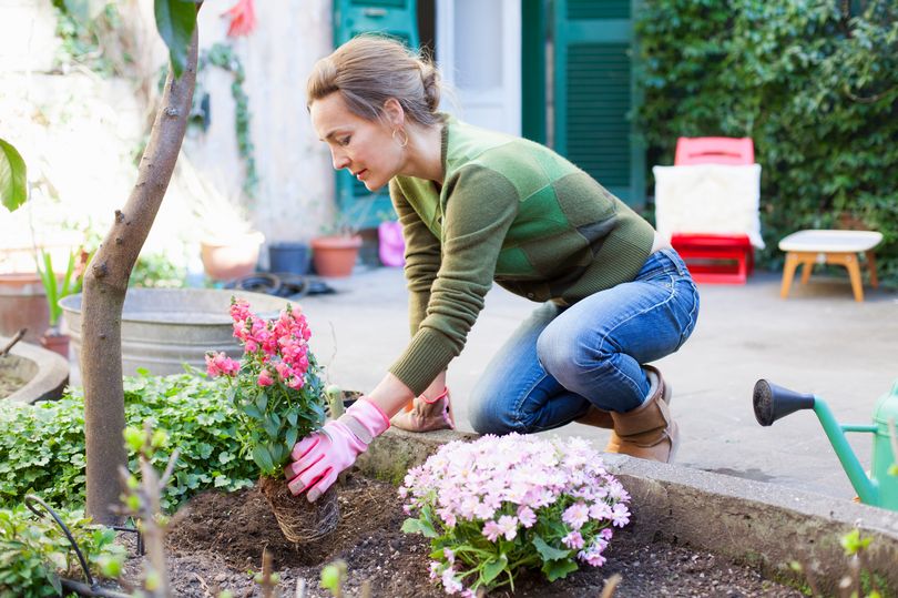 gardening expert shares why 'starting too early' may ruin your outdoor space