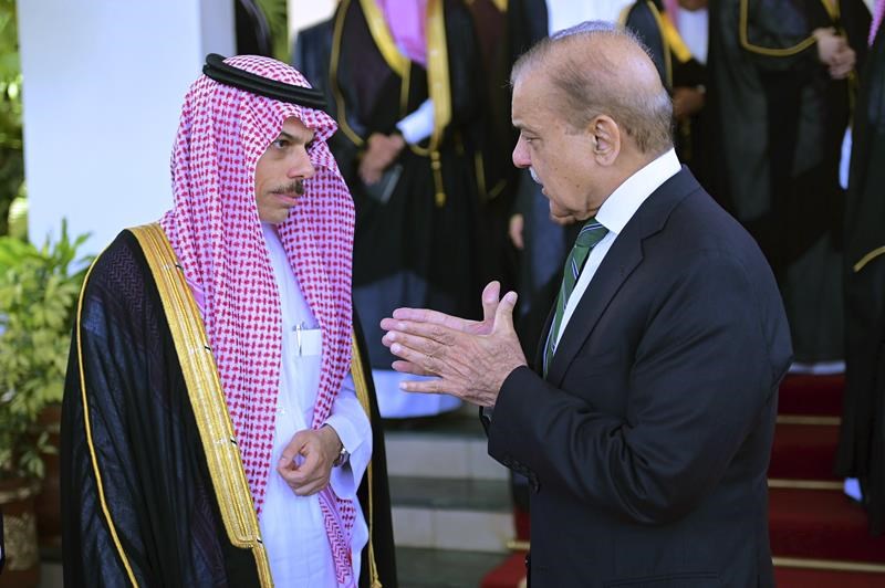pakistan and saudi arabia call for a cease-fire in gaza, saying efforts so far are insufficient