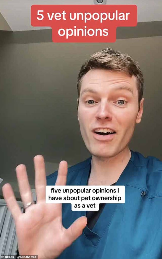 i'm a vet and here are my 5 unpopular opinions about pet ownership