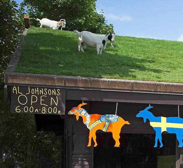 Al Johnson's Swedish Restaurant & Butik in Sister Bay, known around the world as the place with the live goats on its green sod roof each summer, celebrates its 75th anniversary in 2024 and is planning entertainment and special events the weekend of June 22-23.