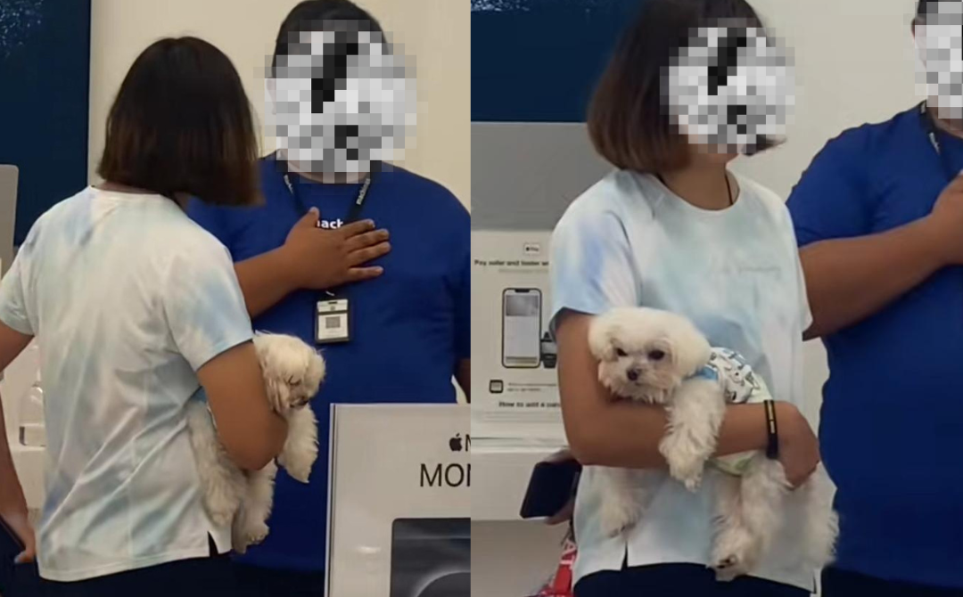 woman enters machines main place with dog, defying store policy