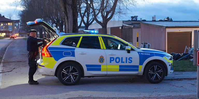 16 åringen Kan Ha Lurats I Fälla ”en Av Flera Teorier” 