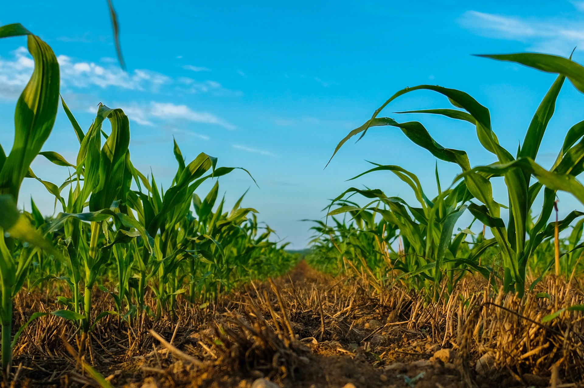 The best (and worst) places to live in the US in case of a war outbreak