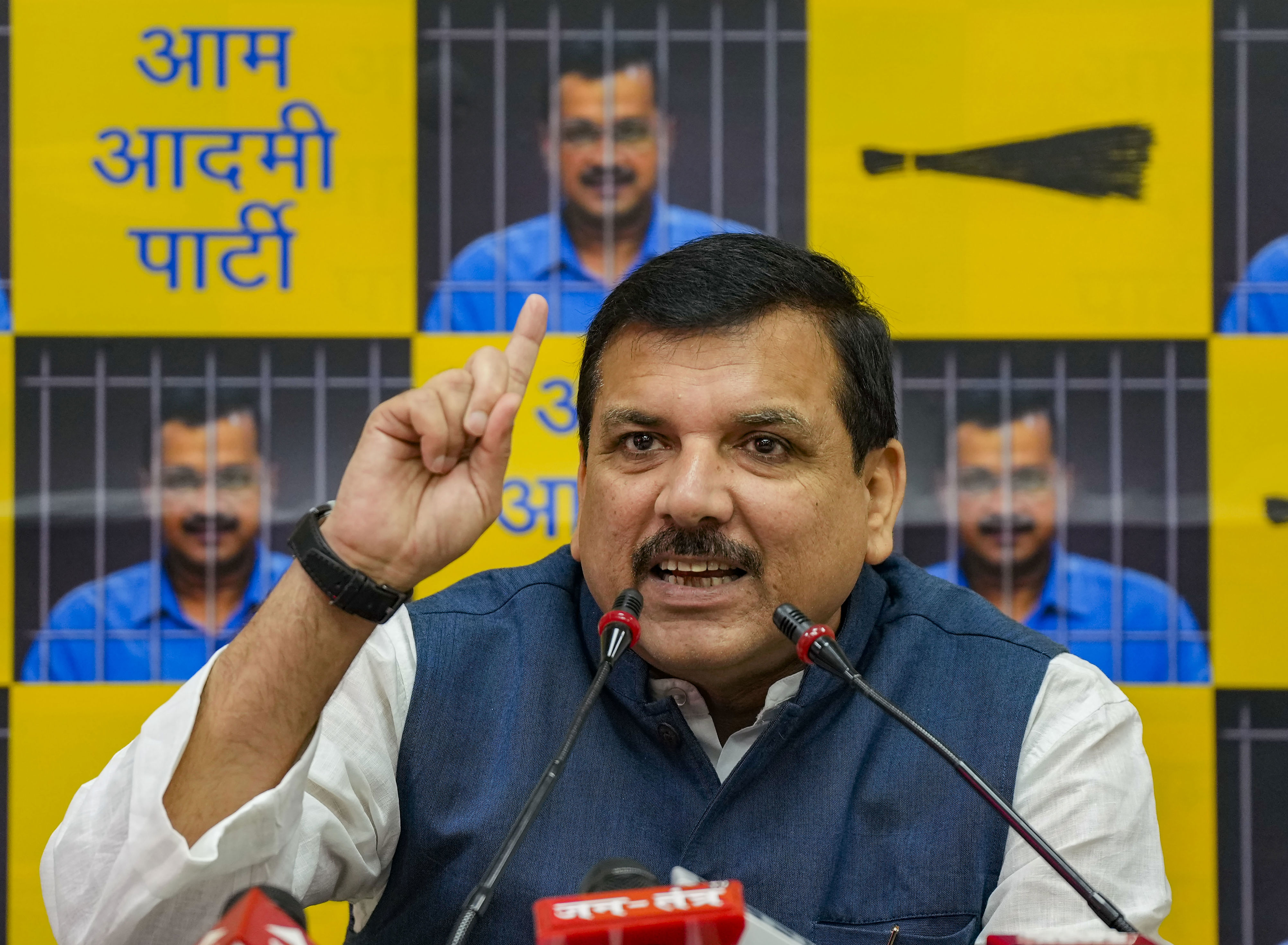 Kejriwal Being Treated Like A Terrorist In Tihar: AAP's Sanjay Singh