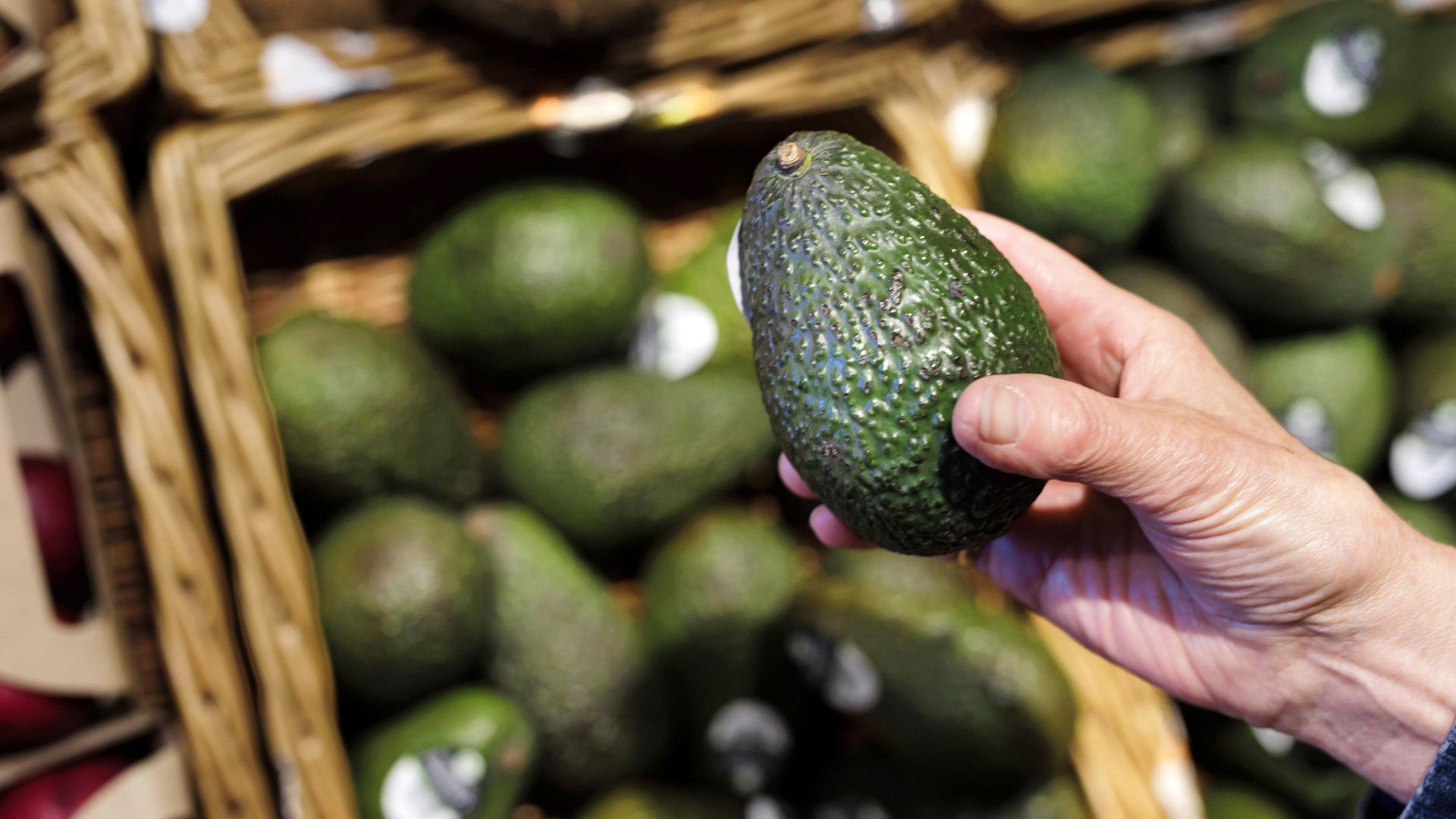 beliebtes »superfood«: avocado-import mehr als verfünffacht
