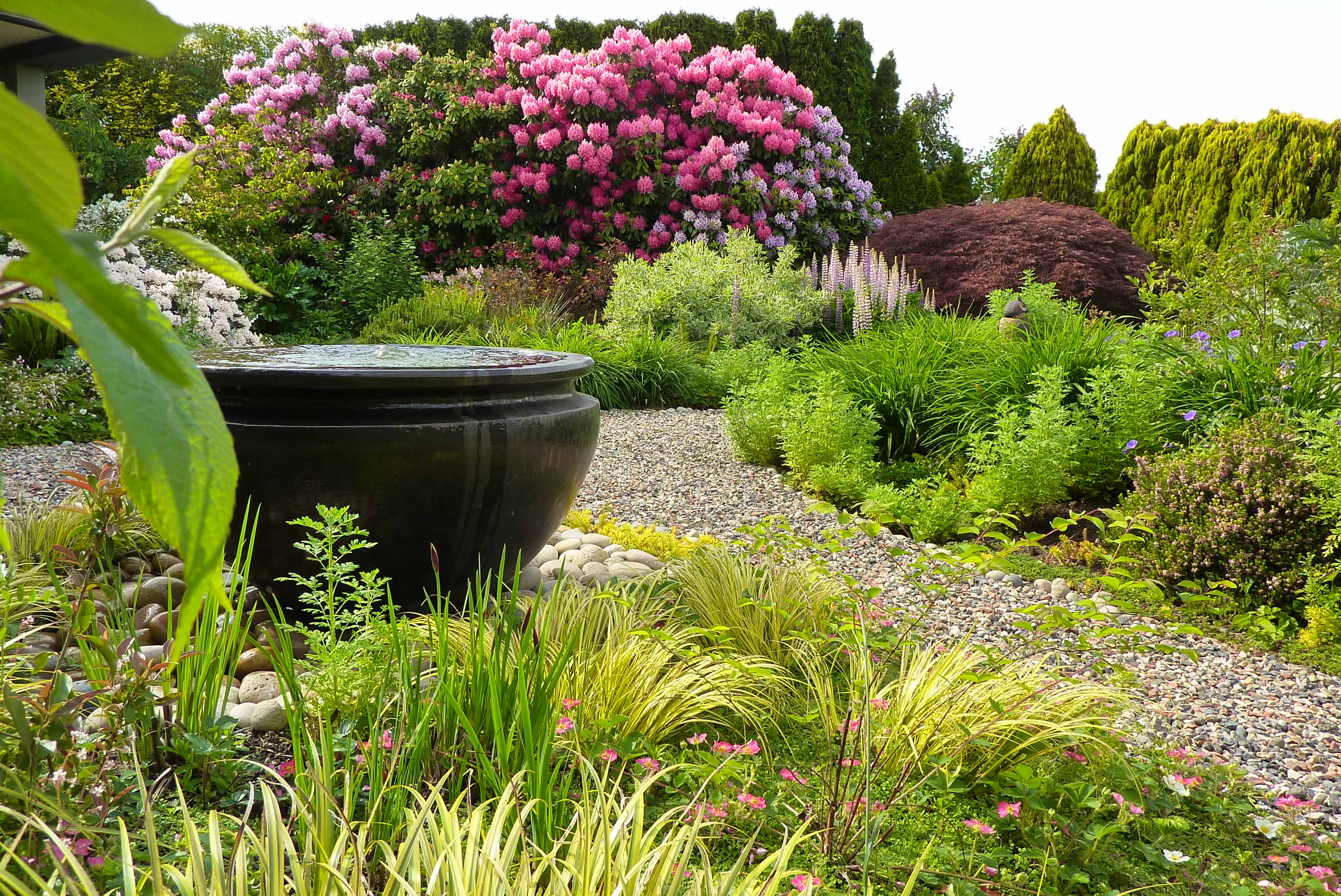 how to, gravel gardens save time and water. here’s how to create one.