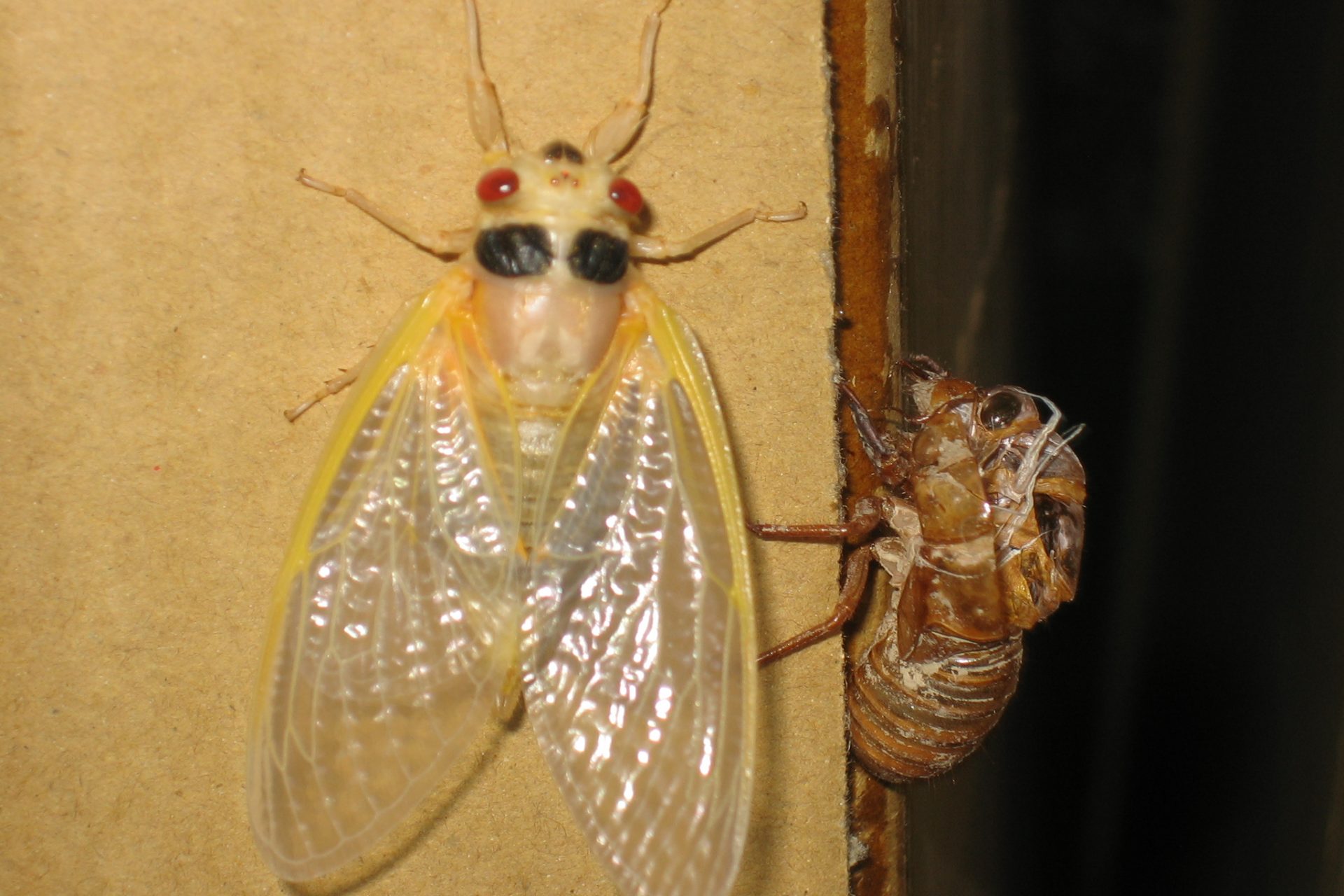 The World's Most Remote Homes Where You Can Retreat Into The Wilderness