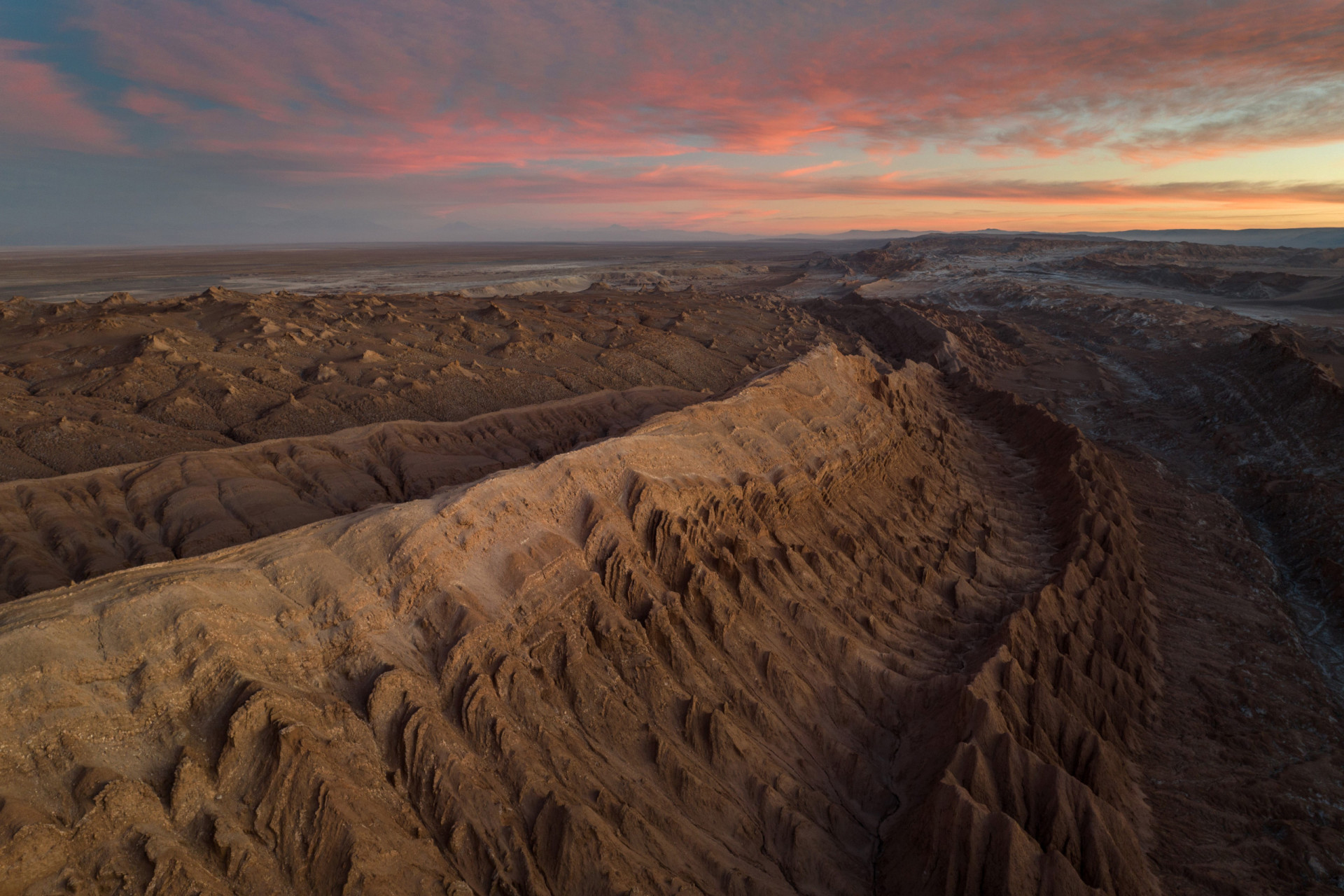 <p>Moving on to the Americas, Chile’s Atacama Desert offers a dry oasis for travelers who find themselves drawn to the beauty of such a hostile environment. The Desierto Florido National Park is a safeguard for the region’s flora, which have adapted to some of the world’s harshest conditions.</p><p><a href="https://www.msn.com/en-us/community/channel/vid-7xx8mnucu55yw63we9va2gwr7uihbxwc68fxqp25x6tg4ftibpra?cvid=94631541bc0f4f89bfd59158d696ad7e">Follow us and access great exclusive content every day</a></p>