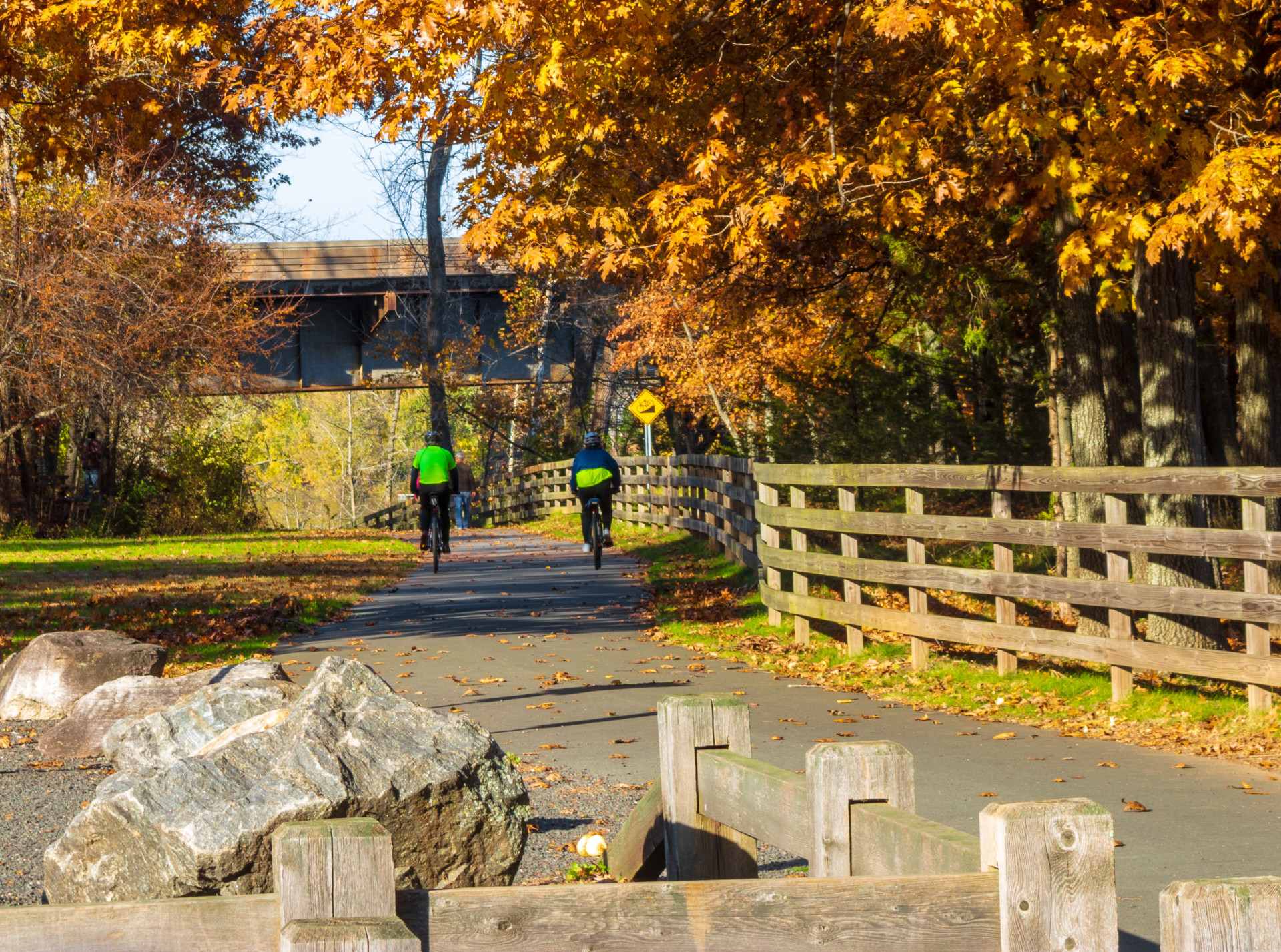 The Best Bike Trails In Each US State