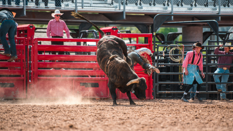 Meet 7-Year-Old Girl Who Is State's Youngest & Only Black Female Bull Rider