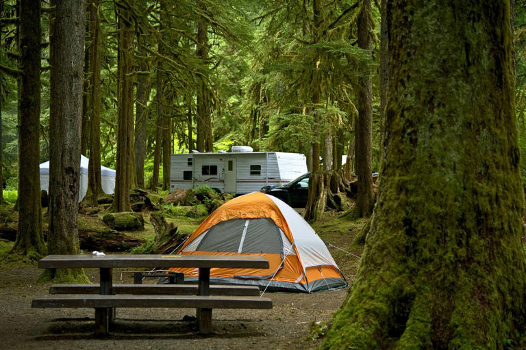 Camp site with picnic table, tent and an RV in background
