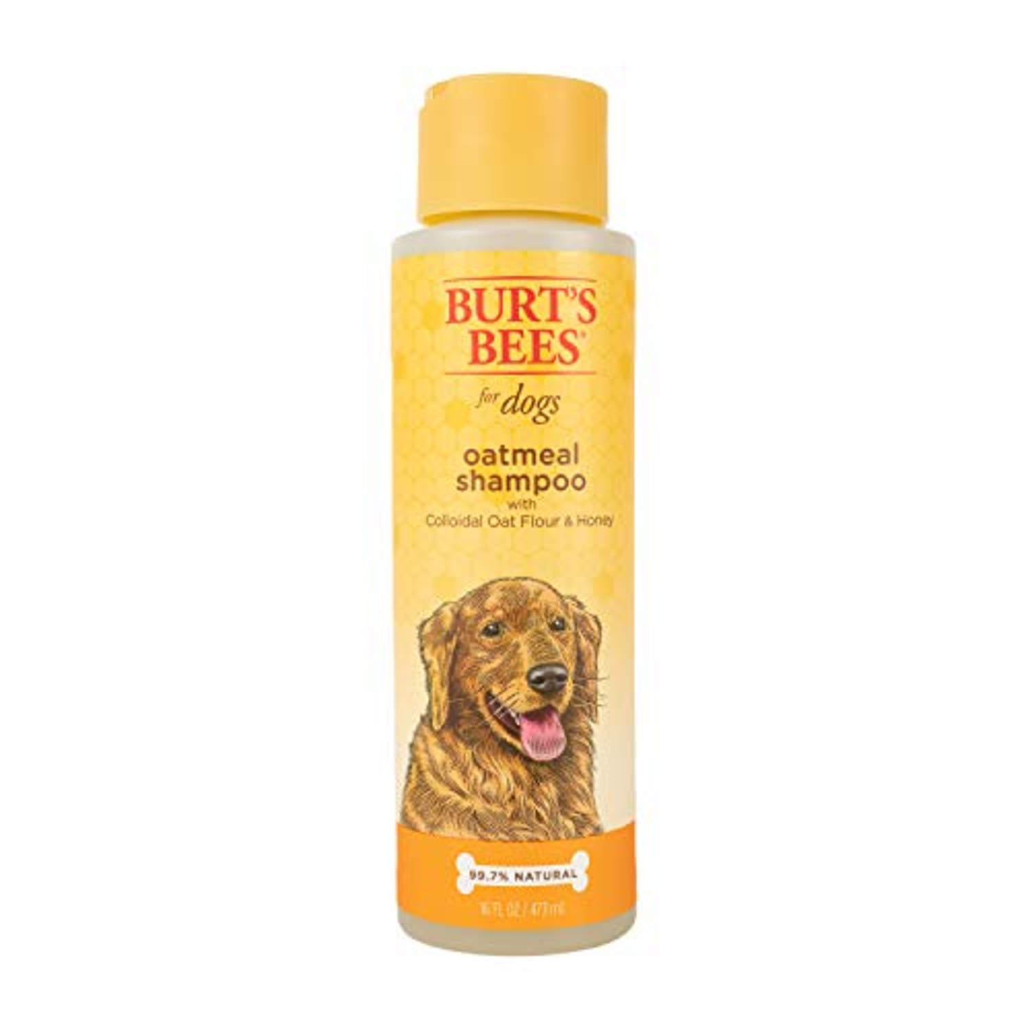 amazon, how often you bathe your dog depends on its breed