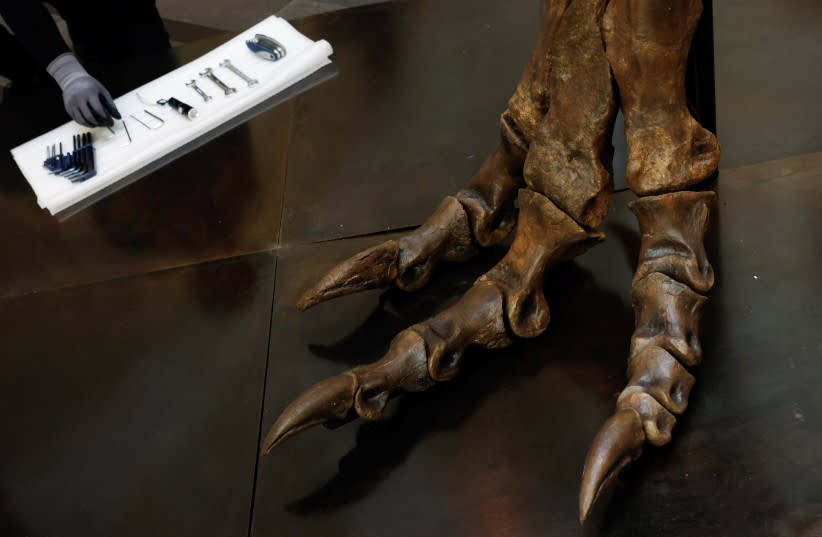 arte antiguo y fósiles: un estudio revela cómo entendían los primeros humanos a los dinosaurios