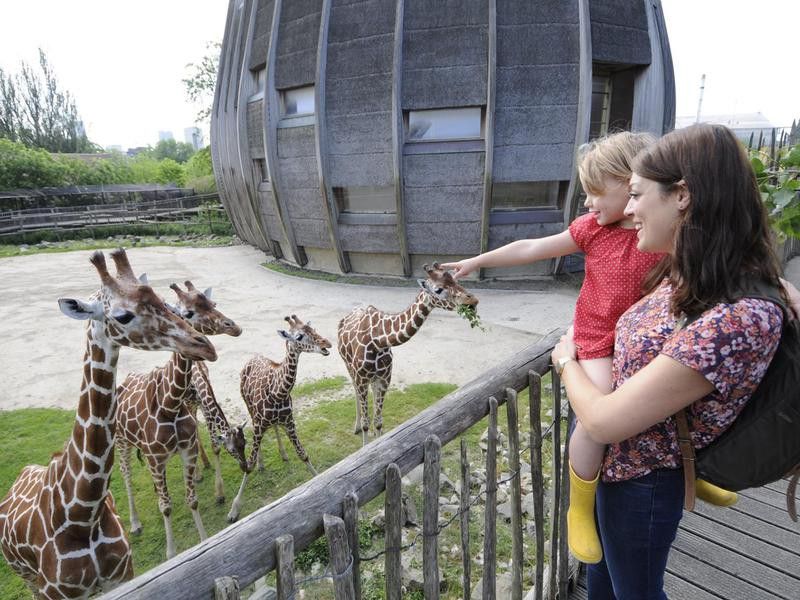 40 best zoos in the world, ranked