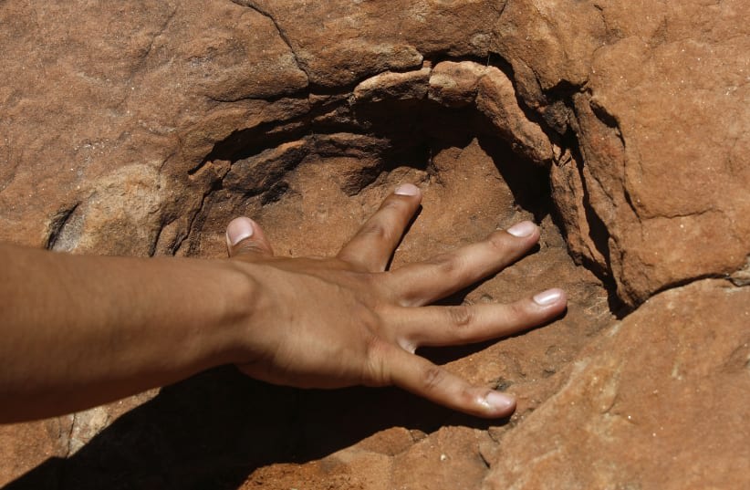 arte antiguo y fósiles: un estudio revela cómo entendían los primeros humanos a los dinosaurios