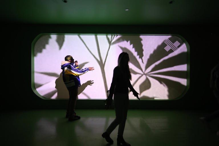 Expand Your Mind at the Best Weed Museums in the U.S.