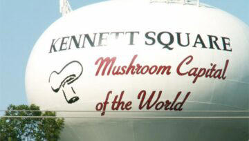 ‘The Mushroom Capital of the World’ Named One of Best Places to Live in Pennsylvania