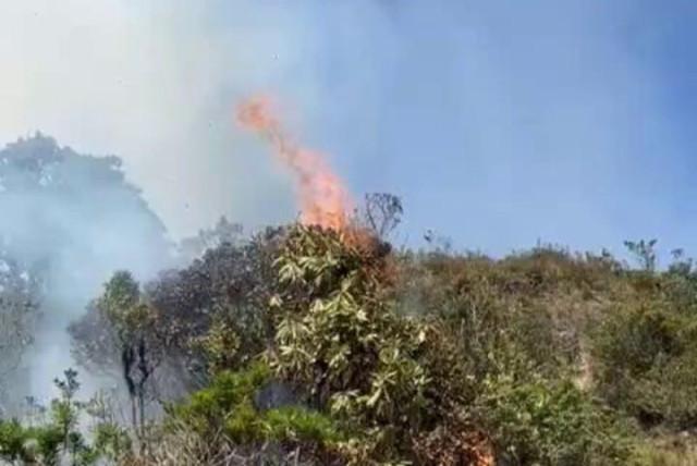reportan incendio forestal en el sur de bogotá, en plena crisis por el agua