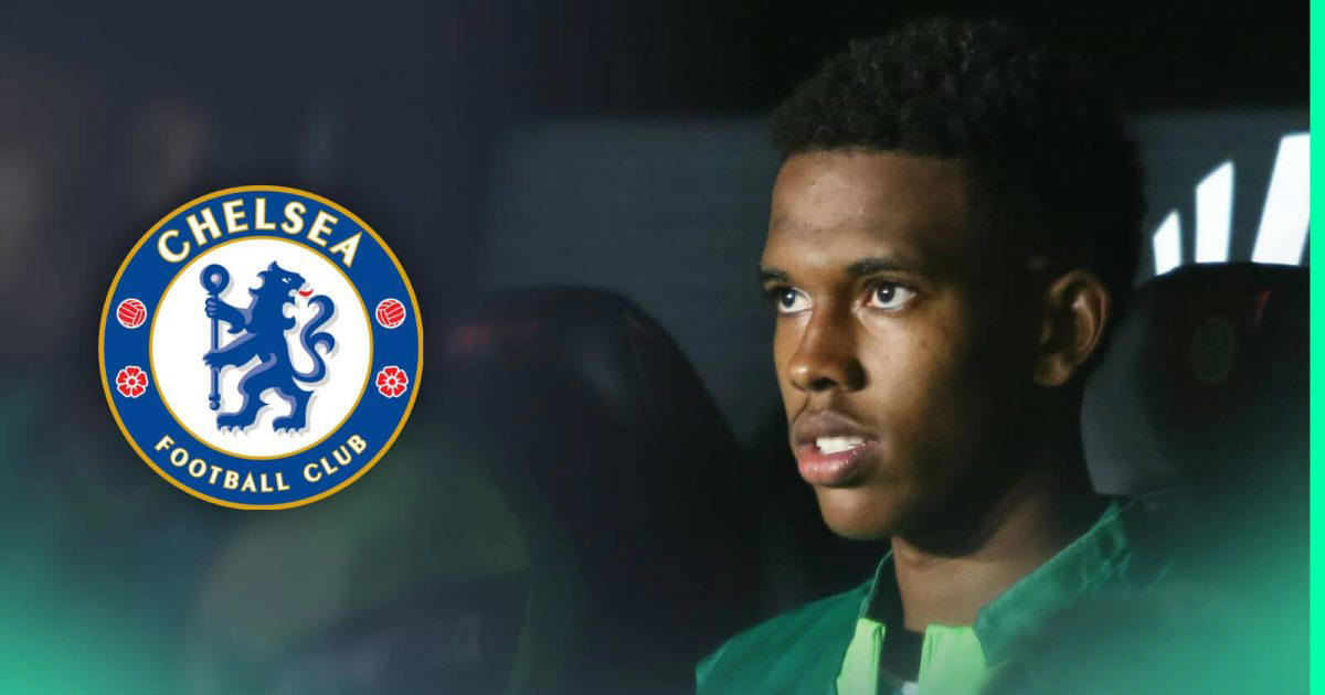 chelsea lauded for transfer masterclass signing of attacking star who has ‘huge, huge potential’