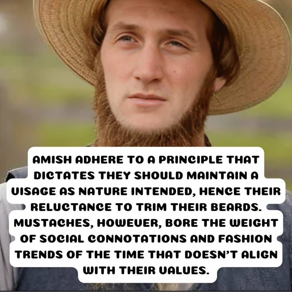 35 Facts That Give Us a Rare Glimpse Into the Amish Way of Life