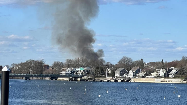 Brush fire breaks out in Newport neighborhood