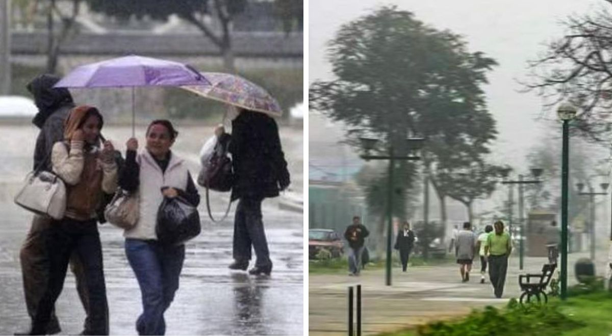 amazon, senamhi anuncia alerta roja por fuertes vientos y lluvias: ¿cuáles son las regiones afectadas?