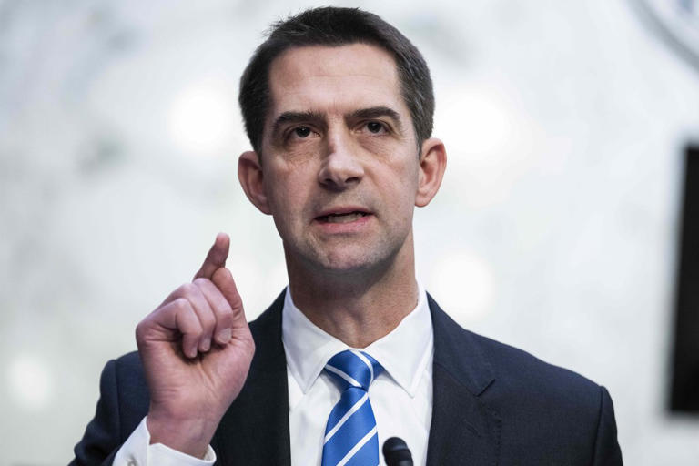 Tom Cotton suggested it is time for people to begin taking matters into their own hands regarding the anti-Israel protests. ZUMAPRESS.com