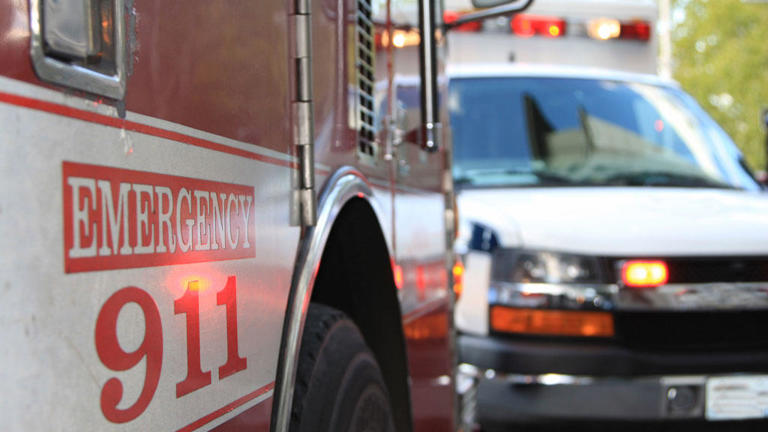 Boy Driver And Passenger Seriously Hurt In Lawrence County Amish Buggy 