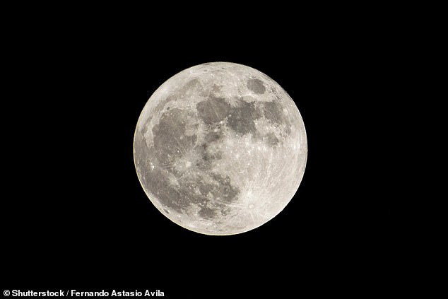 scientists uncover link between women's menstrual cycles and the moon