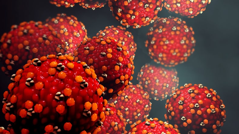 brotes de sarampión se presentan más en primavera e invierno, ¿por qué es más contagioso?