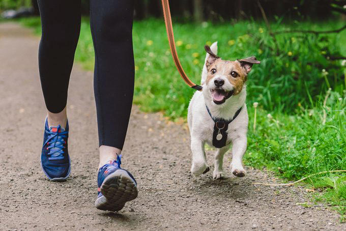 Woman running with dog to workout during morning walk