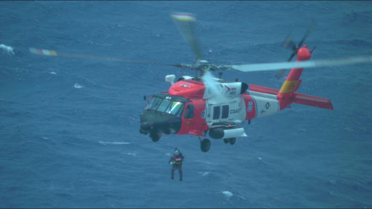 WATCH: Coast Guard helicopter crew pulls pregnant woman from Disney ...