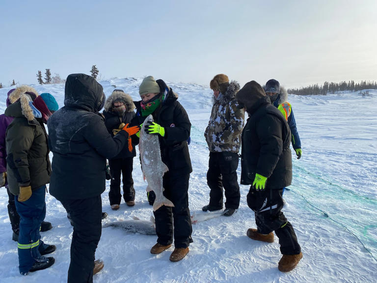 Students attend a 2021 fish camp, hosted by Dechinta. The learning centre is also known as the N.W.T.'s bush university and offers Indigenous land-based education. (Chantal Dubuc/CBC)