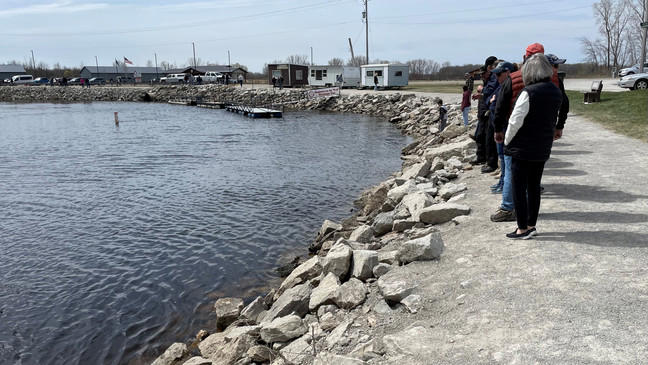 Sturgeon spawning continues on the Wolf River at Bamboo Bend in Shiocton