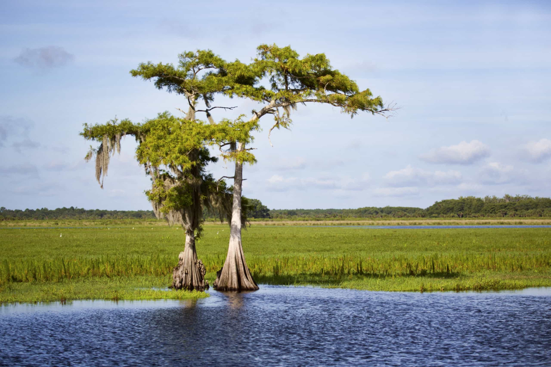 En Reise Nedover De Vakreste Elvene I USA