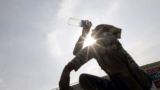 imd weather updates: heatwave alerts, rain predictions for these states