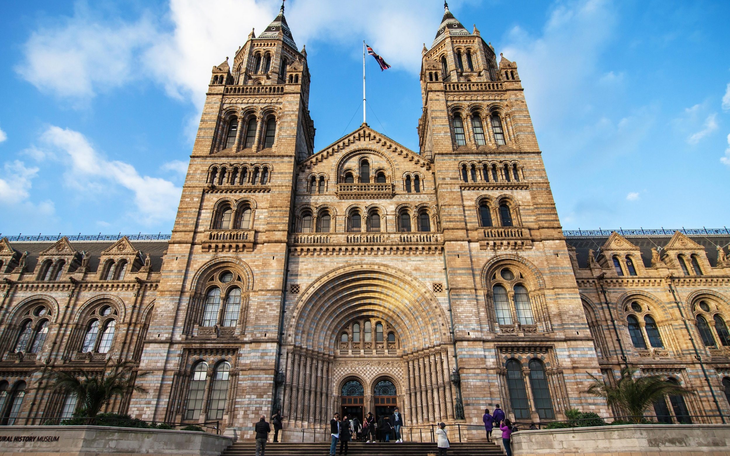 ‘it’s a self-imposed act of institutional vandalism’: inside the natural history museum’s controversial relocation