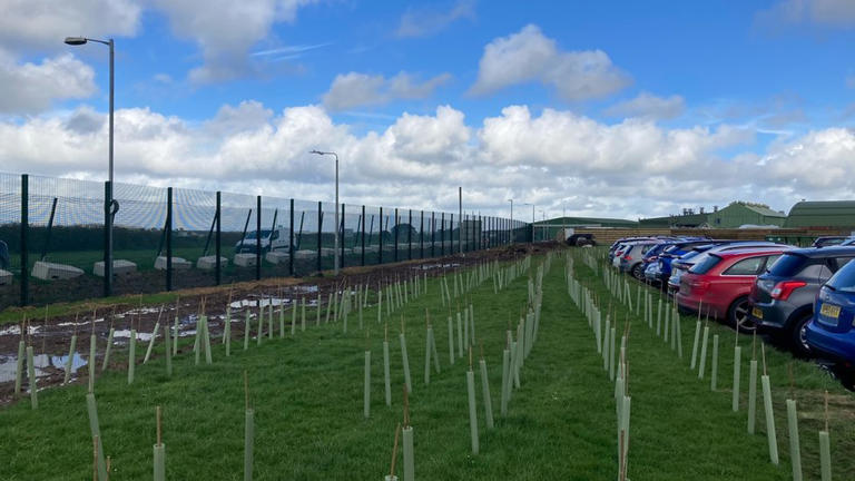 Trees feature in new naval station perimeter fence