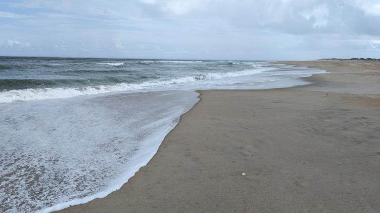 Dead whale washed ashore at Pea Island National Wildlife Refuge
