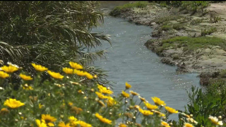 San Diego County's Tijuana River is one of ‘most endangered' in US: Report