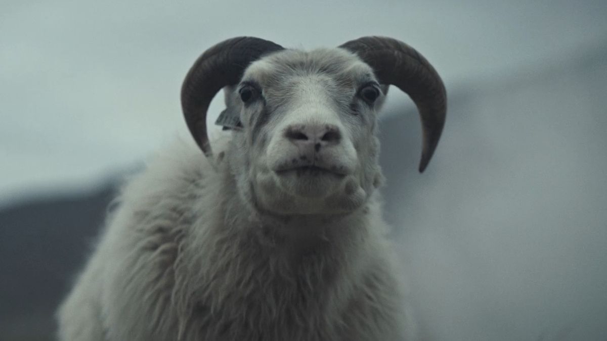 <p>                     If any movie could feel like a condemnation against millennials infantilizing pets as “fur babies,” it would be Valdimar Jóhannsson’s 2021 feature Lamb. Noomi Rapace stars as a farmer (along with her husband, played by Hilmir Snær Guðnason) who are stunned to discover a half-human, half-sheep baby birthed by one of their animals. The farmers claim the child as their own, unaware that they’ll soon incur the wrath of its true father. Like Jaws, Lamb works so well because you never quite see the “monster” until you’re supposed to, at which point the sight of them becomes enough to turn every hair on your body stark white.                   </p>