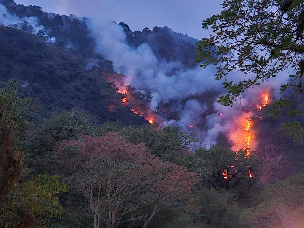 solicitan helicópteros militares para combatir incendios forestales en veracruz