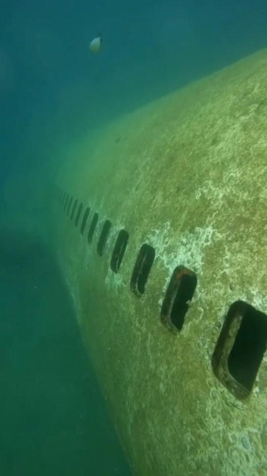 Eerie footage inside sunken passenger plane mistaken for MH370